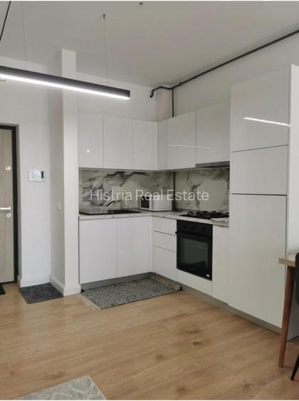 TOMIS PARK VIVO 2 CAMERE RENOVAT 500 EURO TERMEN LUNG