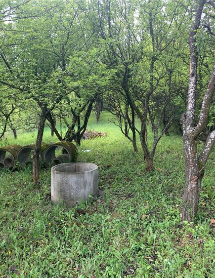 Breaza Vanzare Vila Pensiune 199 000eur