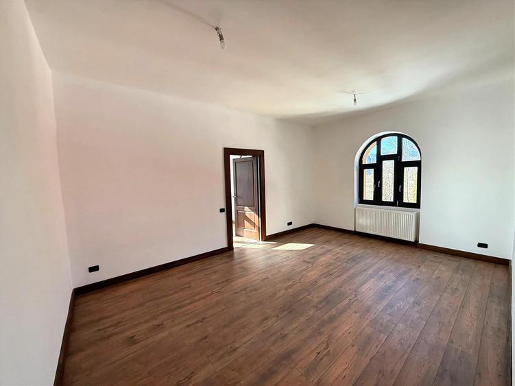 Apartament de vacanta VANDUT - (AP9)