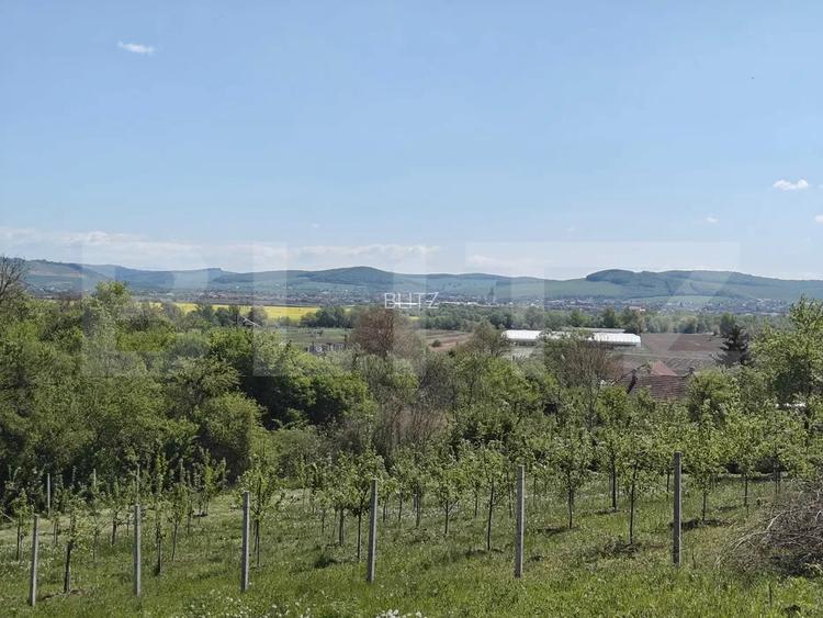 Teren intravilan cu priveliște panoramică în Curteni! - 4