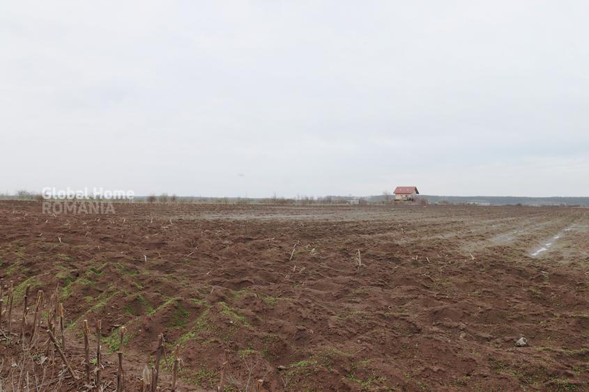 Teren 4000 mp lângă Pădurea Petrești | Investiție dezvoltare | Corbeanca