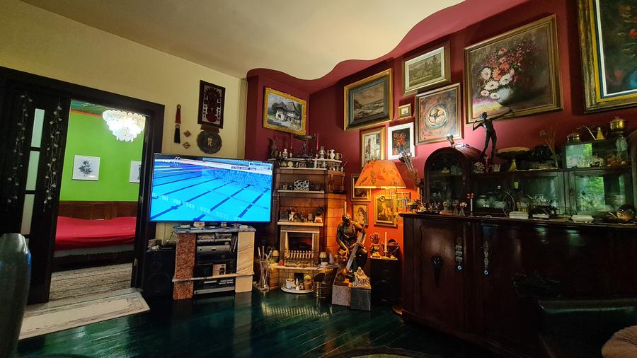 CASA SUPERBA DE LUX- SINGUR CURTE - TEREN 934 MP