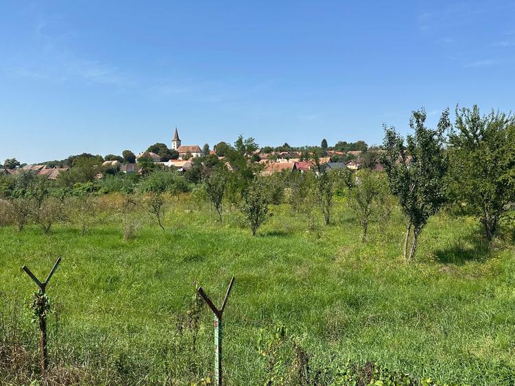 Vand casa singur in curte - P+M - teren 3000 mp - Marpod