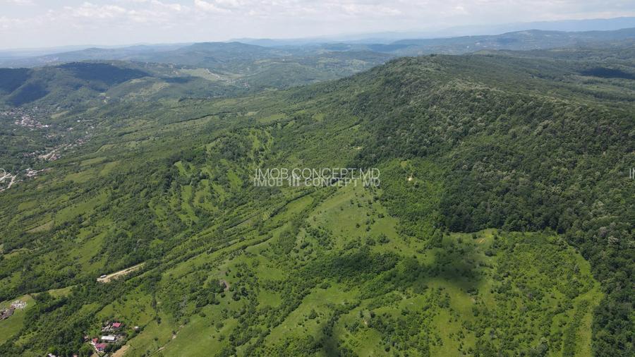 Teren spectaculos cu padure, livada si priveliste panoramica in Soimari PH - 14