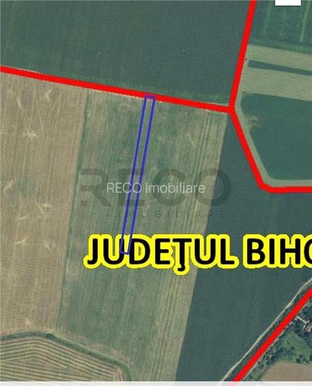 RECO Teren extravilan 5800 mp Livada de Bihor - 4