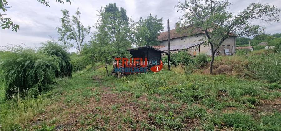 Oportunitate de Investiție: Teren 24000mp Intravilan Construibil în Ga - 4