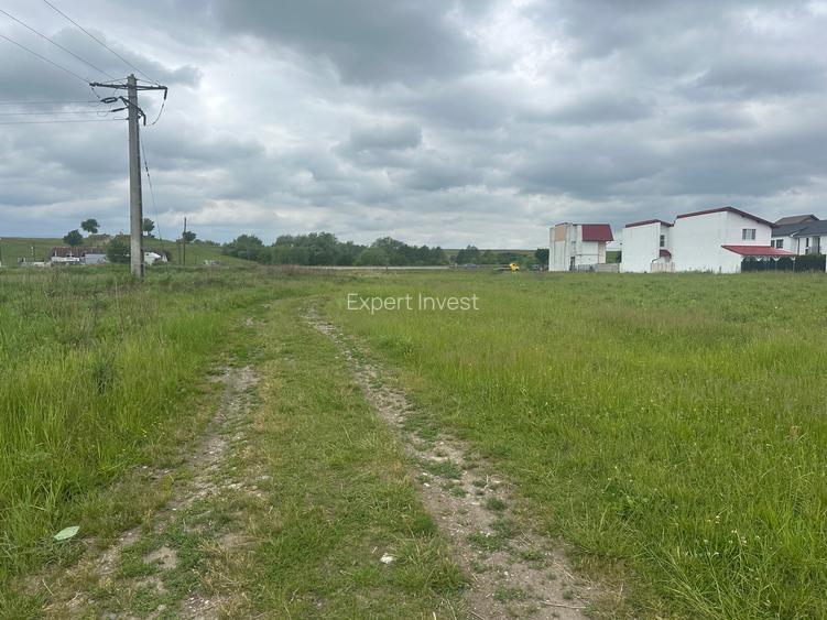 Vand teren extravilan 8.600 mp in Selimbar / jud. Sibiu - 6