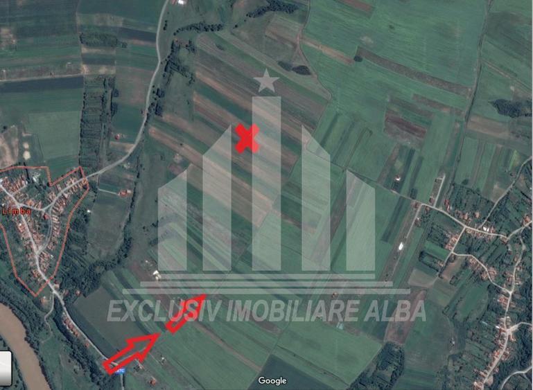 Teren extravilan | Agricol | 8000 mp | 14 ml deschidere | Limba