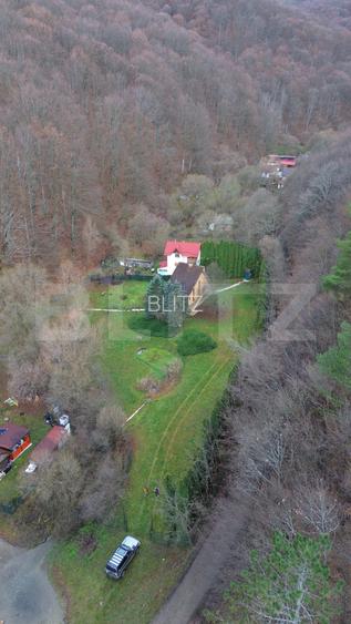 Casă de Vacanță pe Valea Ighielului – 3 camere, 2500 mp curte - 13