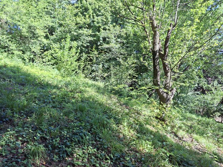 Teren de vânzare în Sinaia – 700 mp | Langa Hotel International! - 4