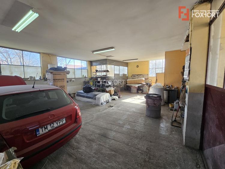 Oportunitate afacere: Spatiu industrial + Casa de locuit - Bogdanestilor - 29