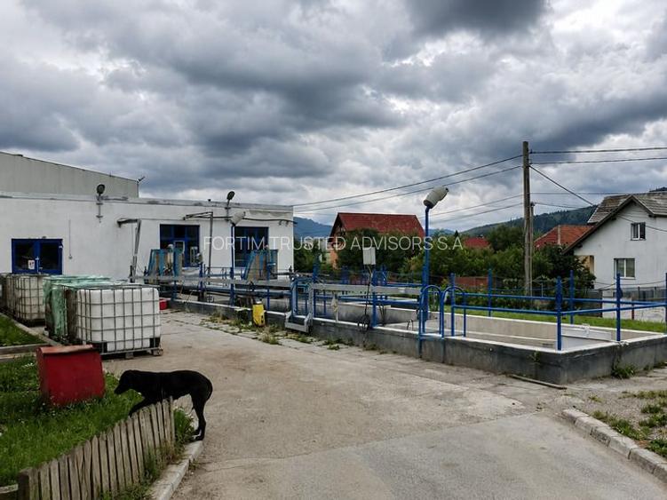 Str. Zizinului (Sacele) - Complex Industrial - 14