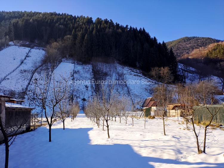 Teren intravilan cu 2 case traditionale in Sibiu Rau Sadului - 8