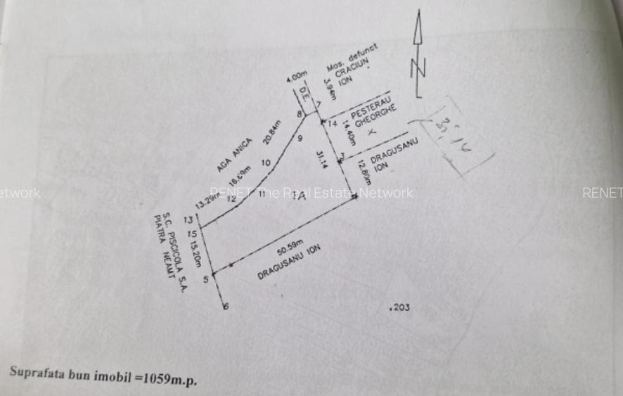 Teren - Roman  -Trifesti - ieșire la lac - livada pe rod - 14