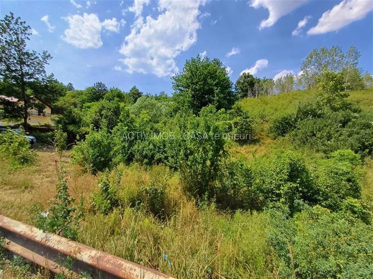 Resita, Terenuri Intravilane 2000 Mp., 28 Euro Mp., Calea Caransebesului, Mement - 7