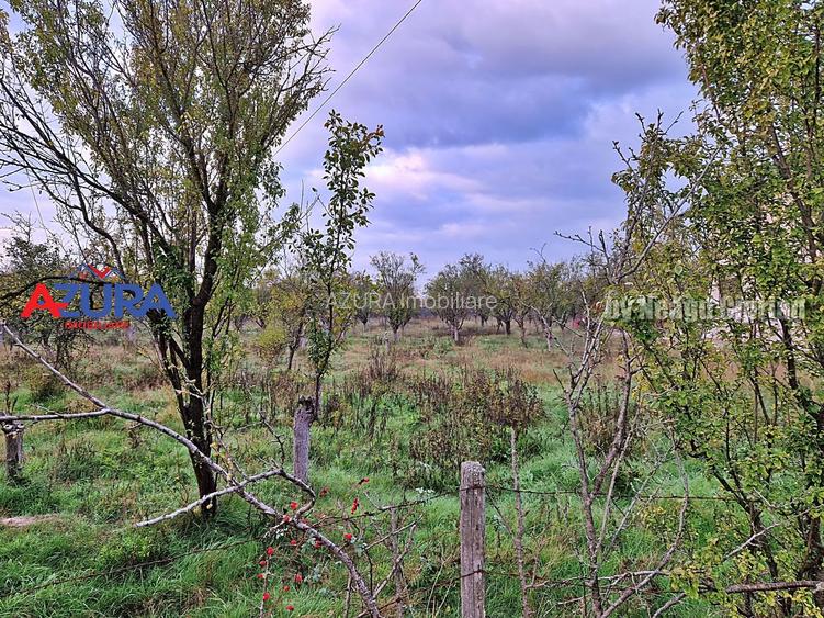 AZURA Imobiliare - Teren Bascov str Paisesti Deal - 10