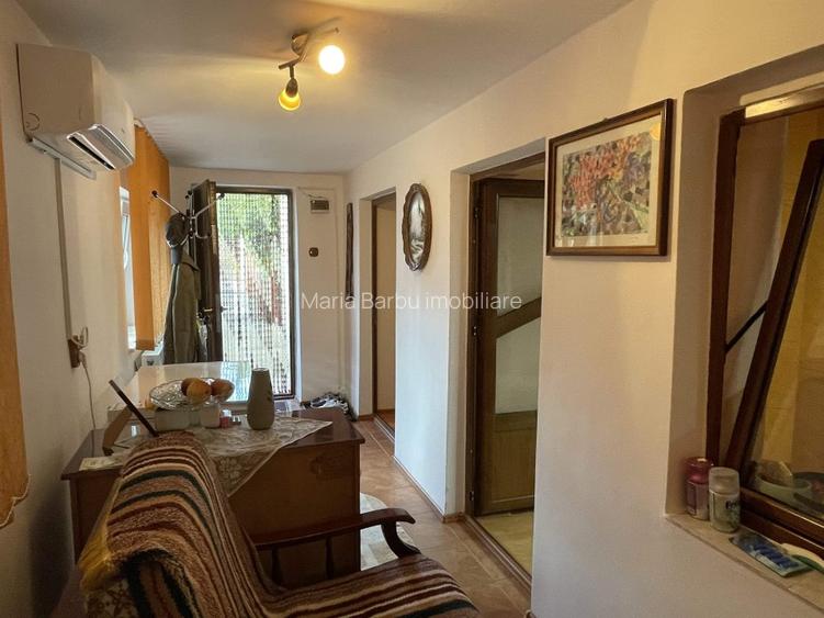 Casa traditionala, 106 mp., Teren 2227, D = 20 m + GARAJ, Clocociov - 17