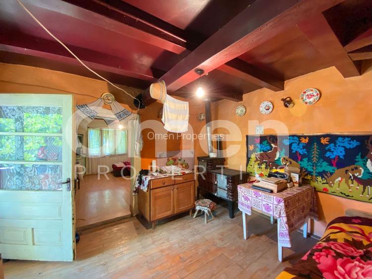 Casa de vanzare in Berinta de 50 mp cu anexa si 22 de ari teren - 4