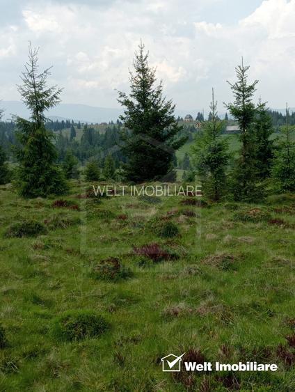 Vanzare Teren – Risca, Comuna Belis - 2