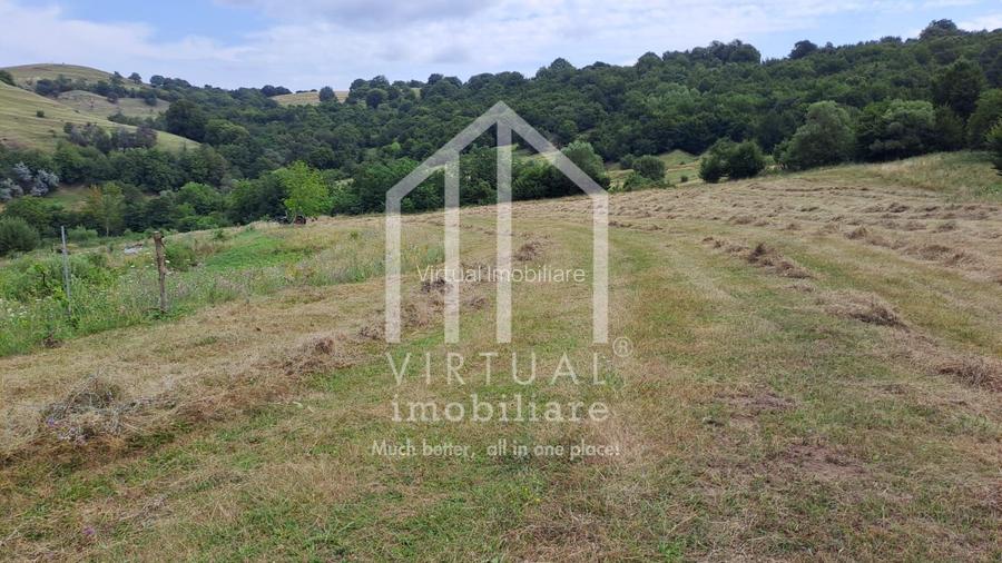 Teren extravilan de vanzare 15,600 mp zona loc... Hamba - 3