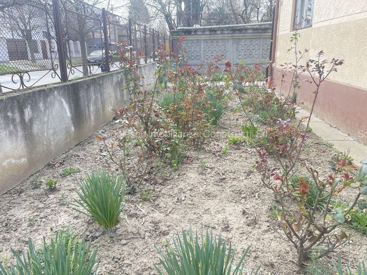 Casa de vanzare cu teren 572 mp si front generos 21 ml - 7