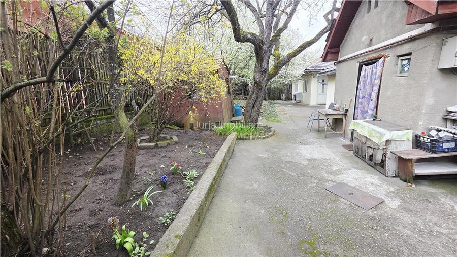 CASA 136 MP TEREN 561 MP FRONT 14 ML ZORILOR  MARINESCU - 3