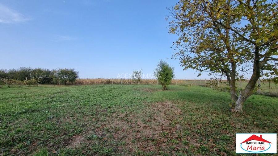 Teren intravilan in Decebal la sosea europeana - 7