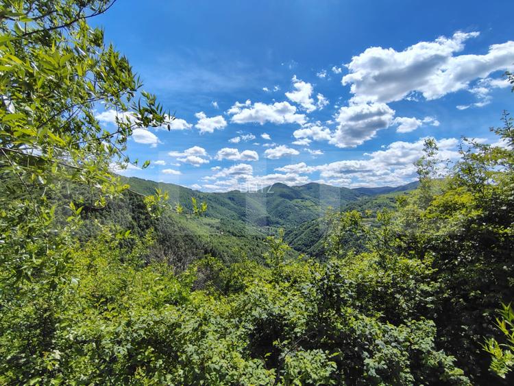 Cabană din lemn masiv, 100 mp utili, teren 3000 mp, Someșu Rece - 2