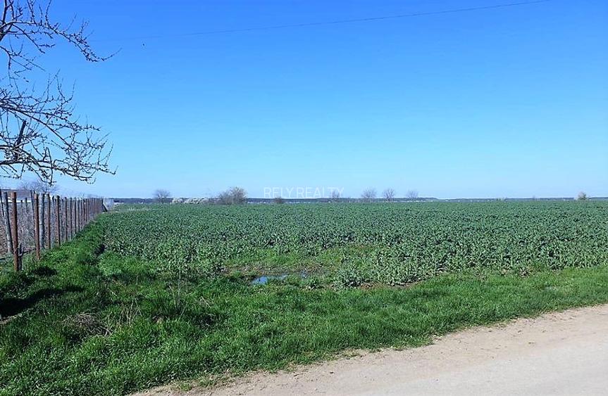 Vanzare teren Moara Vlasiei, 13.000 mp, comision 0% - 4