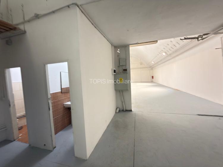 Pantelimon / Republica - Spațiu Industrial / Producție / Depozitare - 29