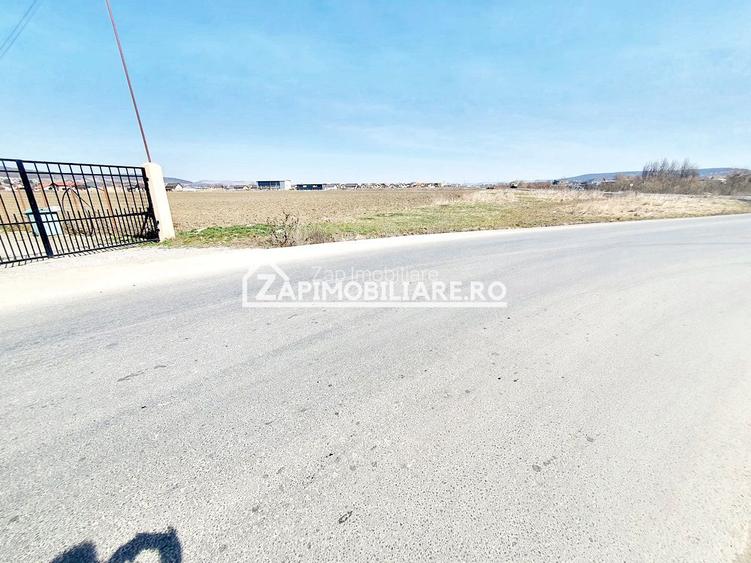 Teren 27.000 mp.deschidere la 2 drumuri ,75 euro mp. - 5