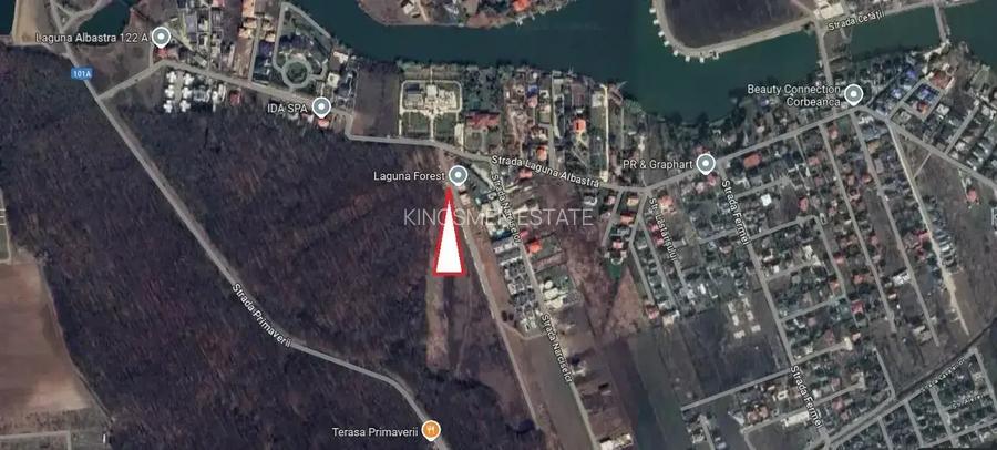 Teren Unic &icirc;n Corbeanca - Laguna Albastră | Deschidere la Pădure - 2