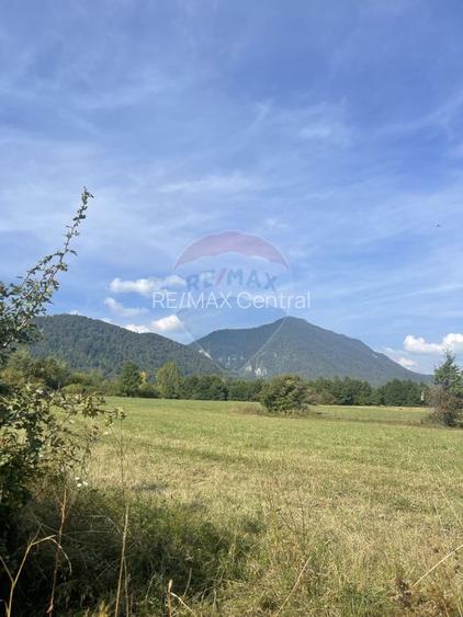 Teren intravilan 850mp Zarnești-Bran, natura-relaxare - 4