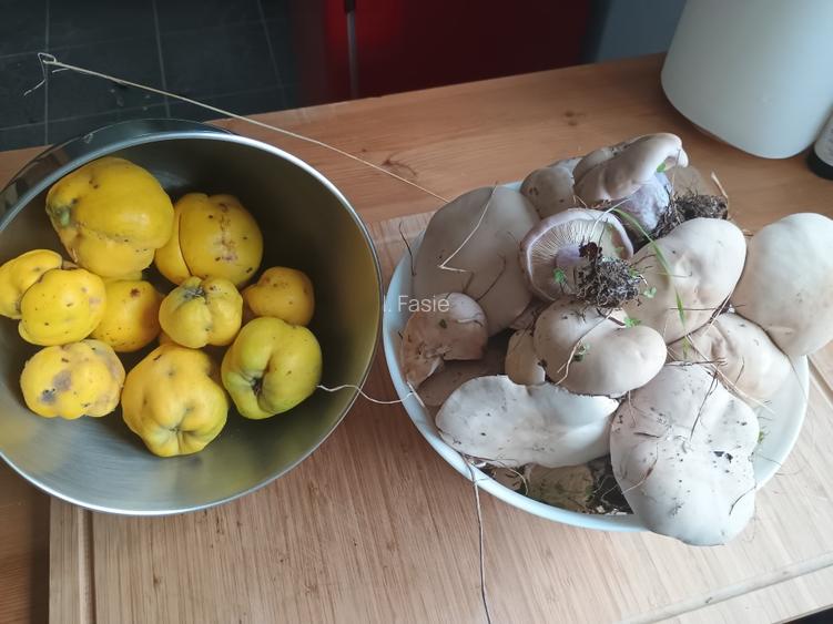 Renovata complet  2024 - 2500mp teren - 12