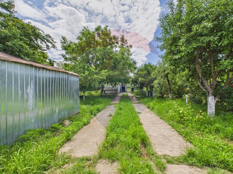 Casă 65 mp + teren 4000 mp, livadă, Butimanu - 17