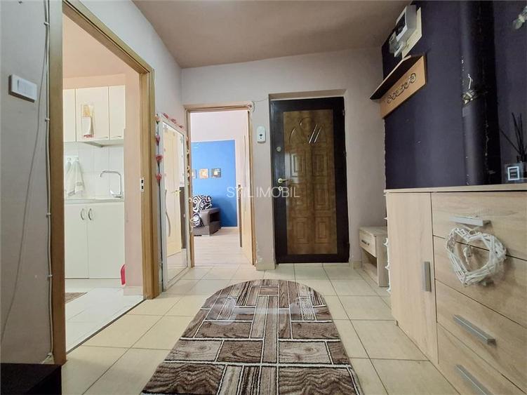 Apartament 2 camere, mobilat si utilat, interesctia Podu de Fier - 16