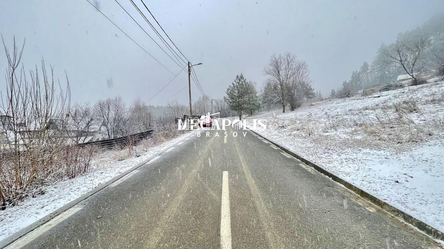 Casă individuală 5 camere | 1750 TEREN | Livadă proprie | PET FRIENDLY - 39