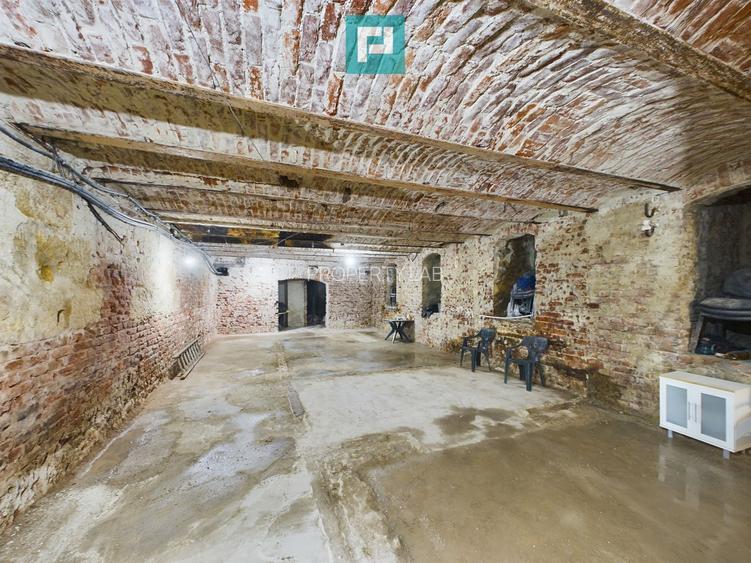 Spațiu ultracentral la demisol - 3