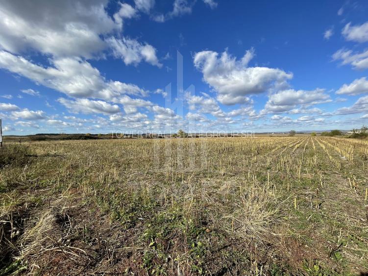 De vânzare teren intravilan – Cristian, Sibiu - 5