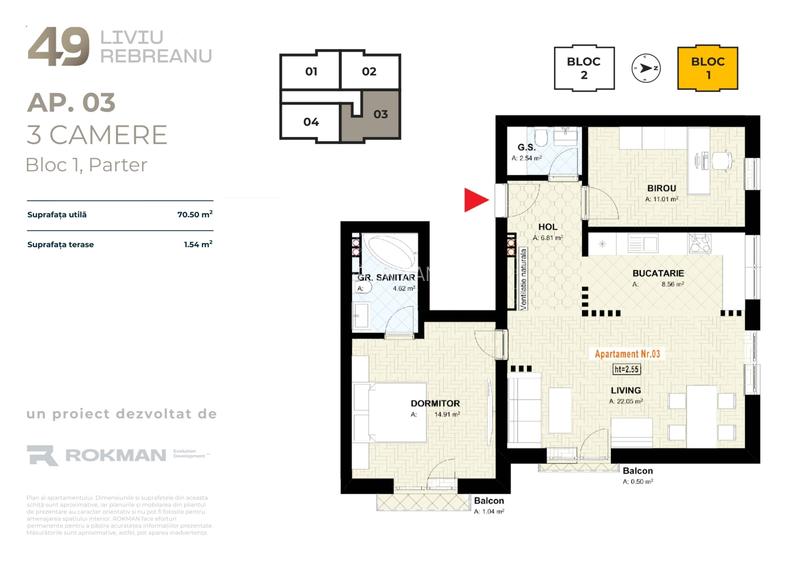 49 LIVIU REBREANU - 3