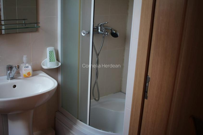 Cabana ( 2 ) de vanzare langa Arieseni ( Garda de sus ) - 9