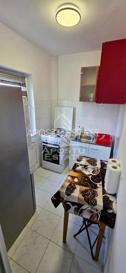 Apartament cu 1 camera de inchiriat, zona Aradului, Timisoara - 4