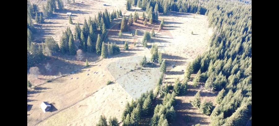 Teren 16,289mp Coverca / Drumul Bucinis - 4