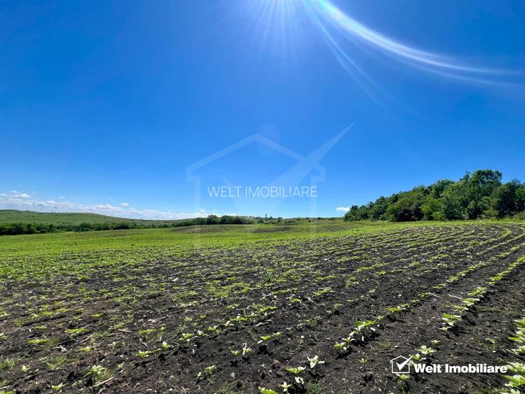 Oportunitate investitie, Chinteni, zona Macicas 31.600 MP - 5