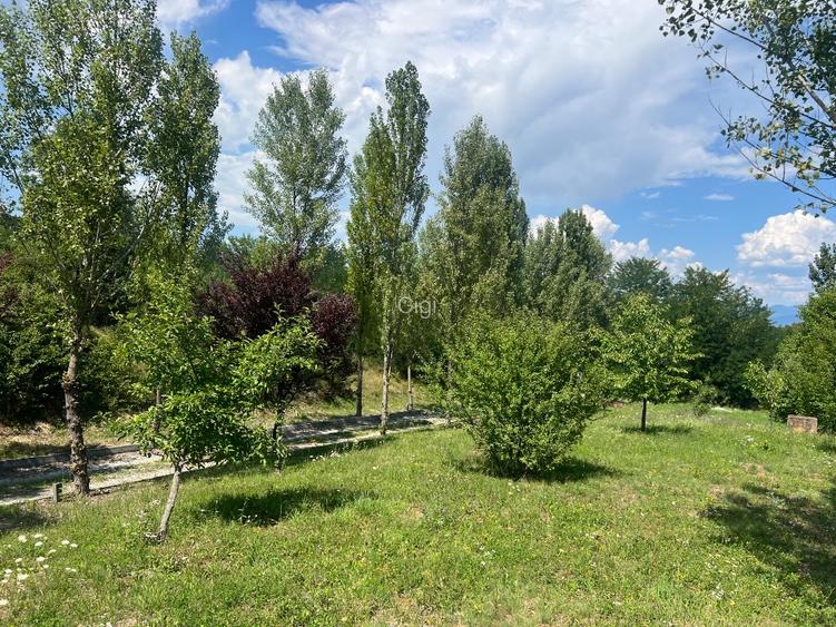 Casa cu variante de dezvoltare pensiune,clinica sau casa particulara privata 100 - 8