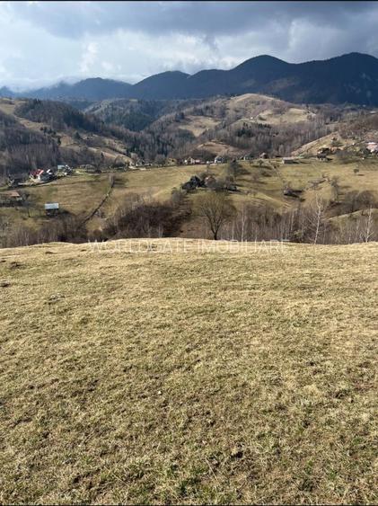 Vanzare Teren cu Punct de Belvedere in Moieciu zona Magura-Pestera - 16