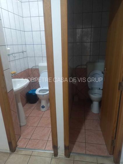 Casa de vanzare la 5 min de Centru cu trei nivele (D+P+1) si teren de 4300mp - 20