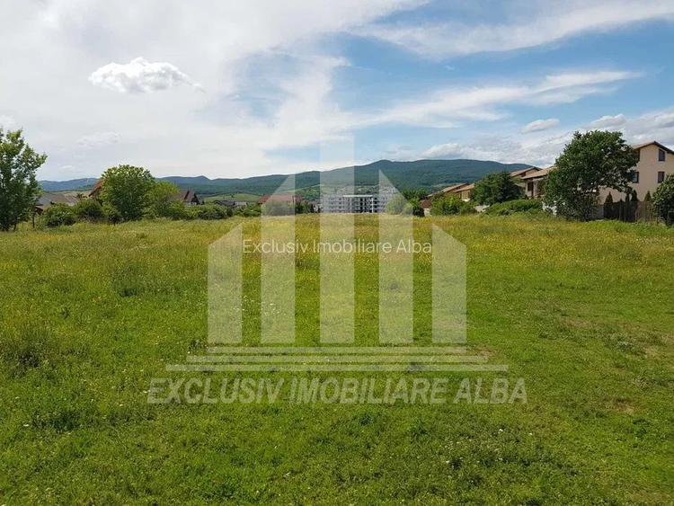 Teren intravilan | Asfalt | 5000mp | 47ml deschidere | Dealul Furcilor - 2