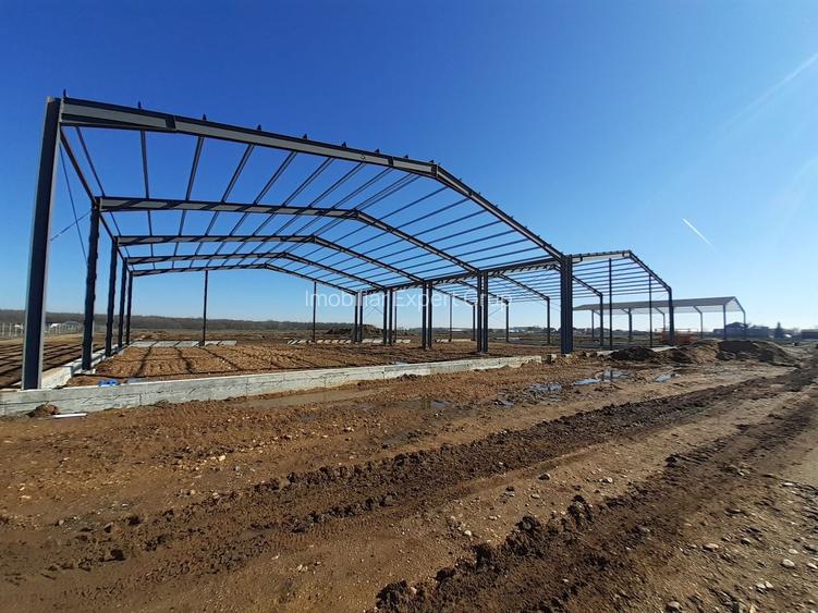 Hale de vanzare in Afumati - 2