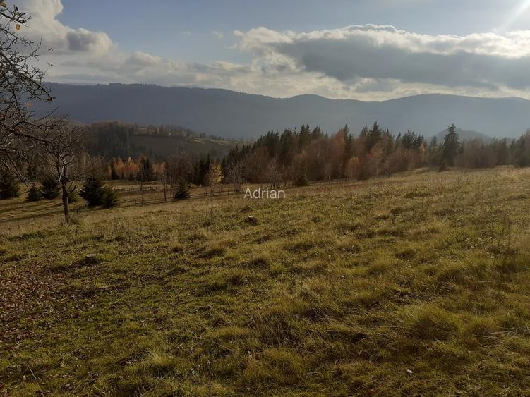 Vind casă și teren în satul Costești, comuna Albac județul Alba   - 7